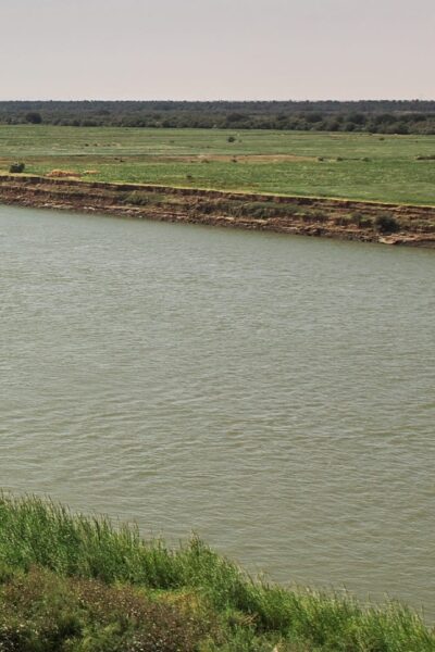 les côtes d’alerte ont été atteintes, voire dépassées dans plusieurs localités situées en bordure des fleuves Sénégal et Gambie